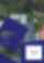 Blurred preview of the first page of a sample ARIS inspection report